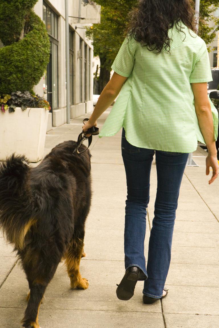 - Hvor tidligt skal hundehvalpe i træning?